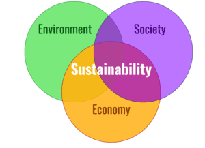 Make your sustainable actions speak louder than&nbsp;words